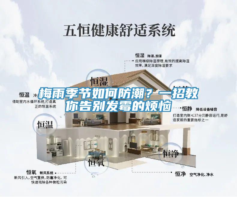 梅雨季节如何防潮？一招教你告别发霉的烦恼