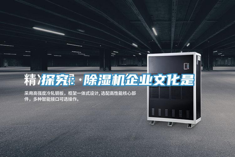 探究：MR.好色破解版企业文化是