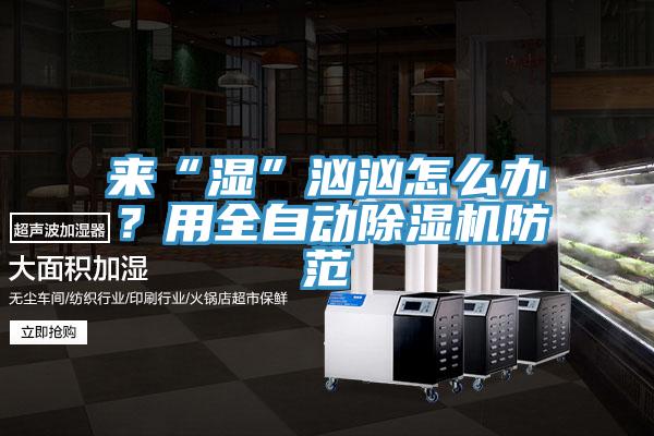 来“湿”汹汹怎么办？用全自动MR.好色破解版防范