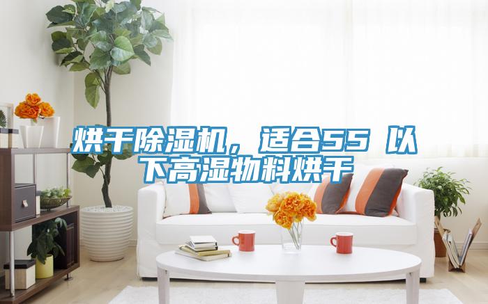 烘干MR.好色破解版，适合55℃以下高湿物料烘干