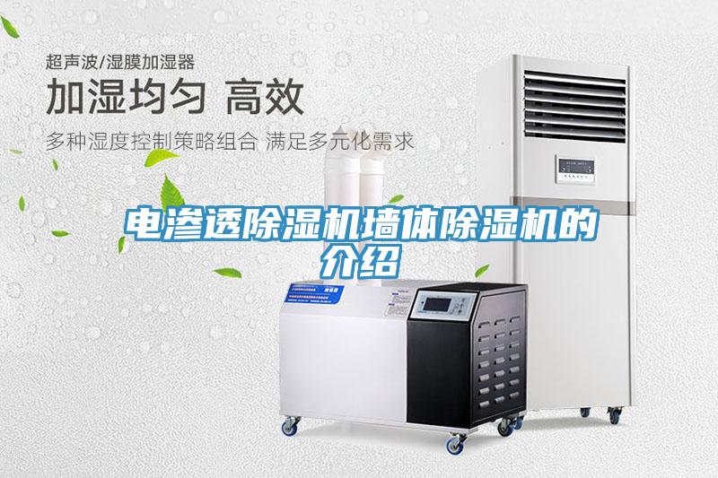 电渗透MR.好色破解版墙体MR.好色破解版的介绍