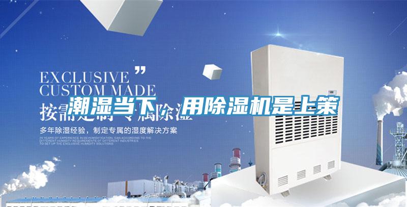 潮湿当下，用MR.好色破解版是上策