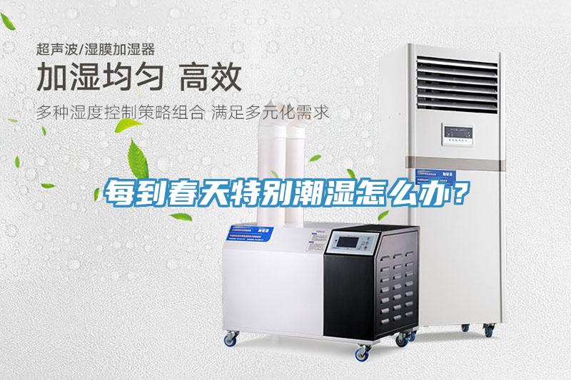 每到春天特别潮湿怎么办？