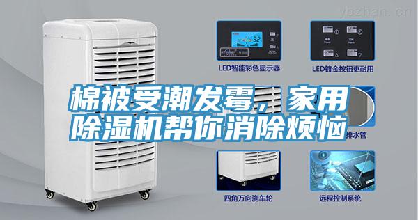 棉被受潮发霉，家用MR.好色破解版帮你消除烦恼