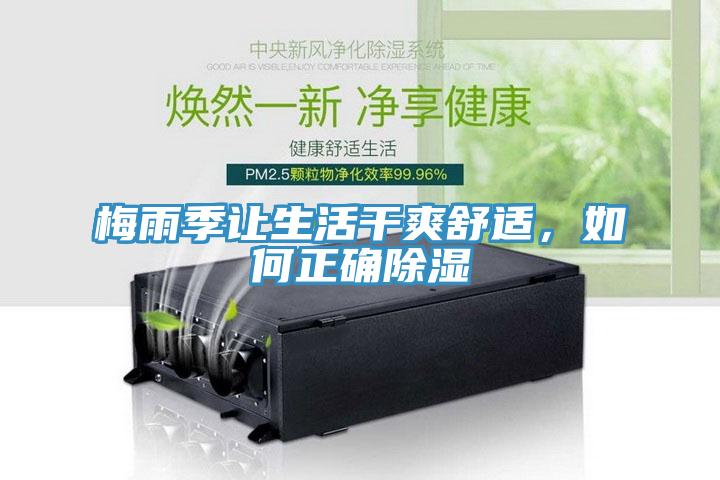 梅雨季让生活干爽舒适，如何正确除湿