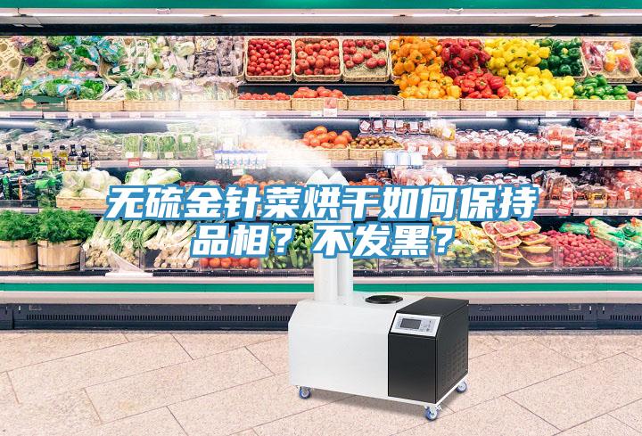 无硫金针菜烘干如何保持品相？不发黑？