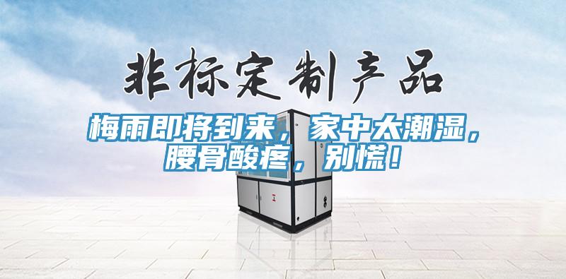梅雨即将到来，家中太潮湿，腰骨酸疼，别慌！