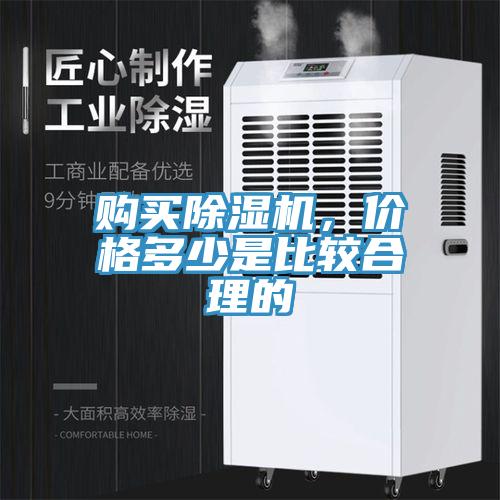 购买MR.好色破解版，价格多少是比较合理的