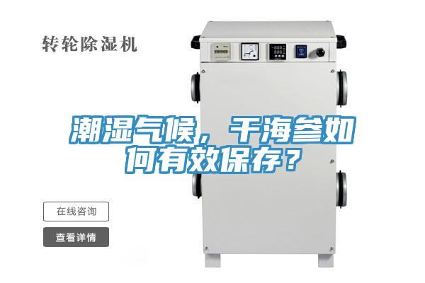 潮湿气候，干海参如何有效保存？