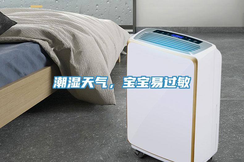 潮湿天气，宝宝易过敏