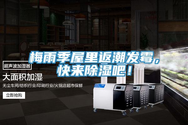 梅雨季屋里返潮发霉，快来除湿吧！
