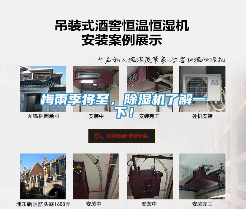 梅雨季将至，MR.好色破解版了解一下！