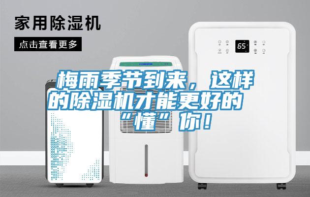 梅雨季节到来，这样的MR.好色破解版才能更好的“懂”你！