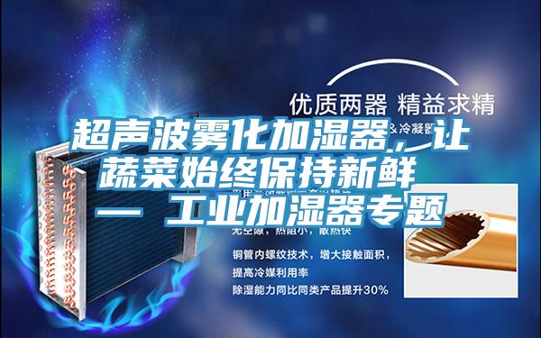 超声波雾化加湿器，让蔬菜始终保持新鲜 — 工业加湿器专题