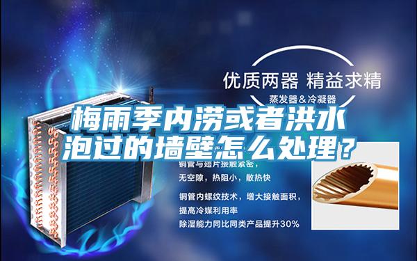 梅雨季内涝或者洪水泡过的墙壁怎么处理？