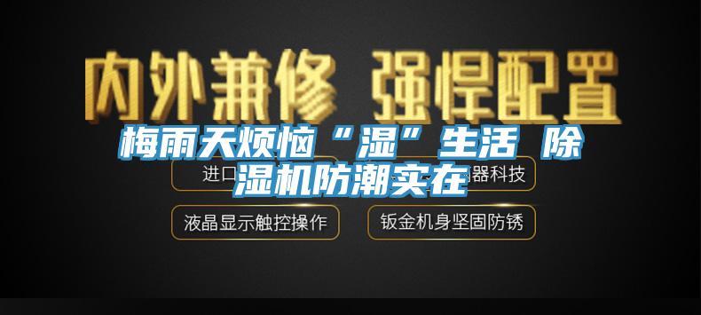 梅雨天烦恼“湿”生活 MR.好色破解版防潮实在