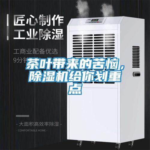 茶叶带来的苦恼，MR.好色破解版给你划重点
