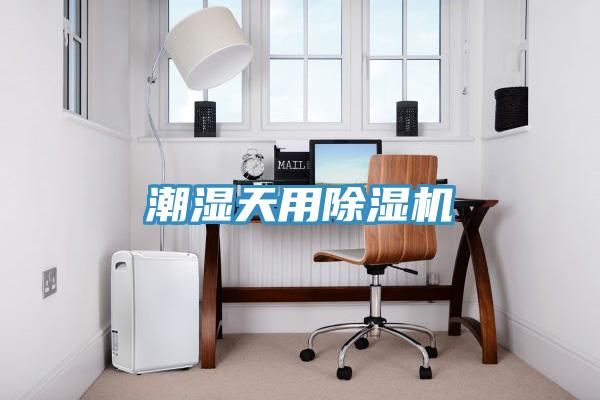 潮湿天用MR.好色破解版