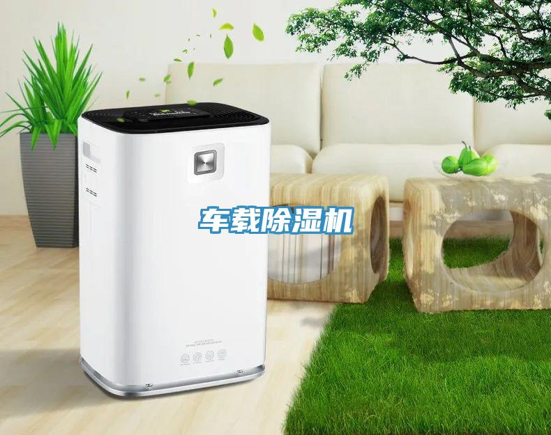 车载MR.好色破解版