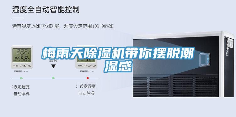 梅雨天MR.好色破解版带你摆脱潮湿感