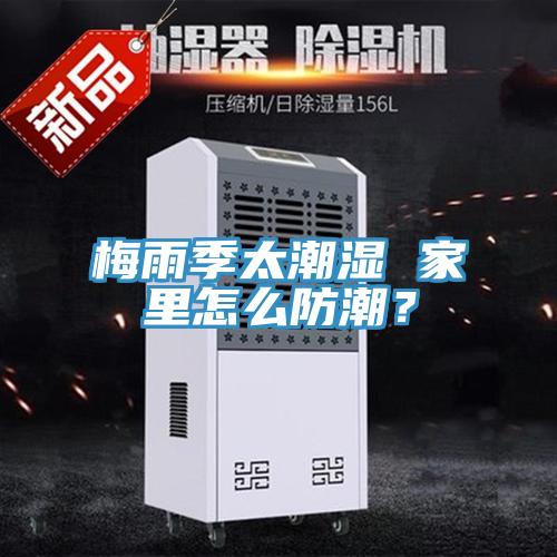 梅雨季太潮湿 家里怎么防潮？