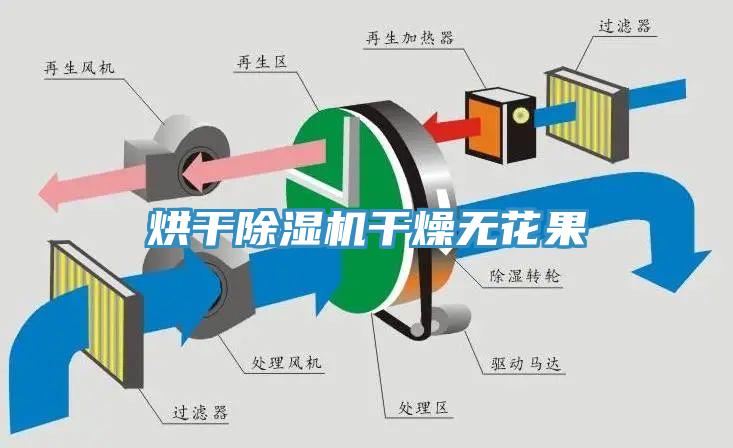 烘干MR.好色破解版干燥无花果