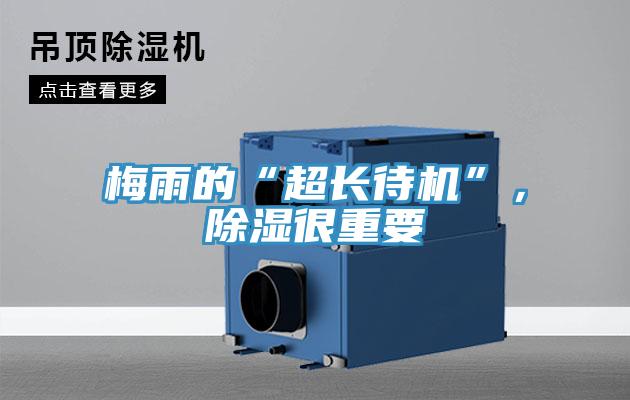 梅雨的“超长待机”，除湿很重要