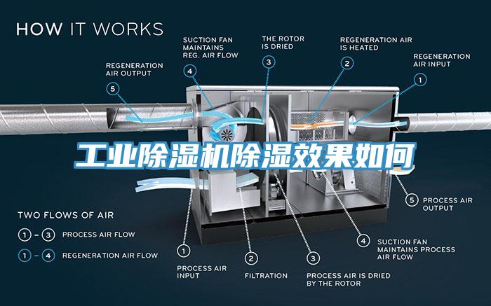 工业MR.好色破解版除湿效果如何