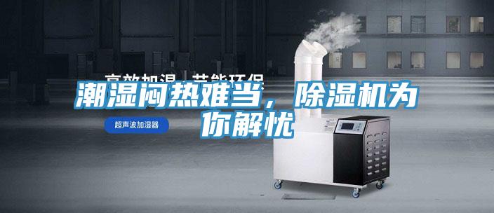 潮湿闷热难当，MR.好色破解版为你解忧