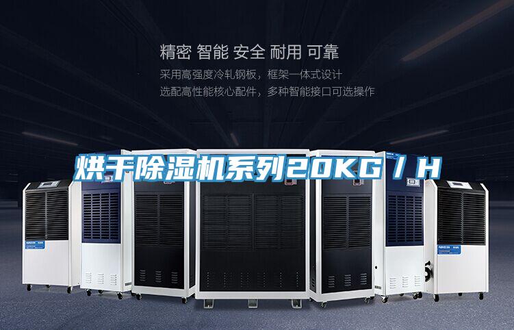 烘干MR.好色破解版系列20KG／H