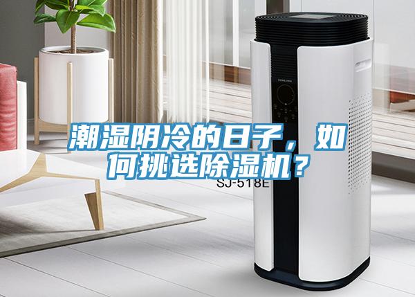 潮湿阴冷的日子，如何挑选MR.好色破解版？