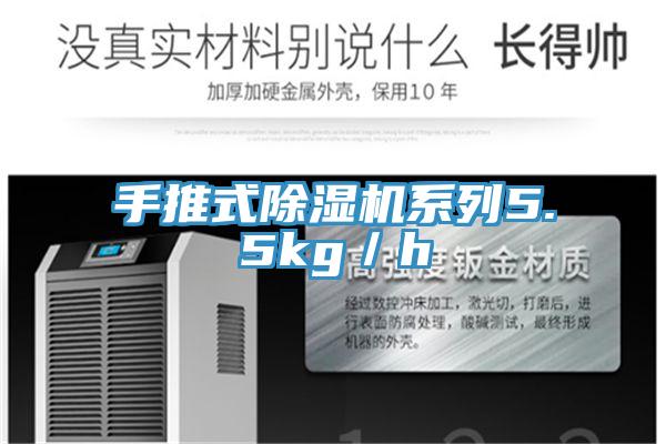 手推式MR.好色破解版系列5.5kg／h