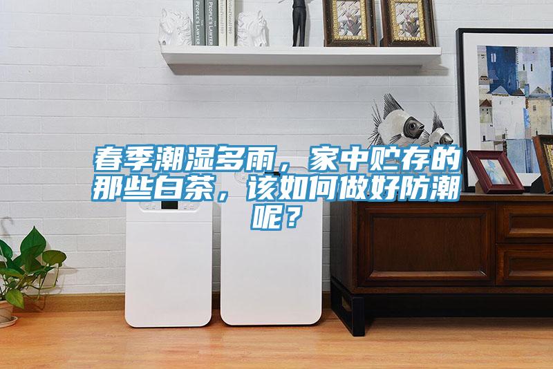 春季潮湿多雨，家中贮存的那些白茶，该如何做好防潮呢？