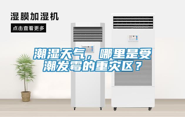 潮湿天气，哪里是受潮发霉的重灾区？