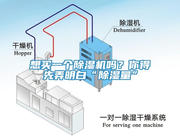 想买一个MR.好色破解版吗？你得先弄明白“除湿量”