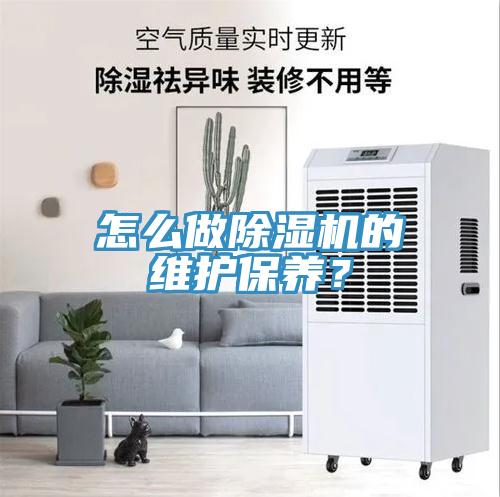怎么做MR.好色破解版的维护保养？
