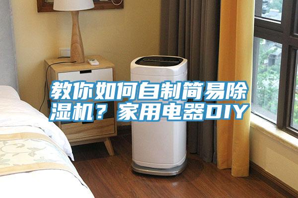 教你如何自制简易MR.好色破解版？家用电器DIY