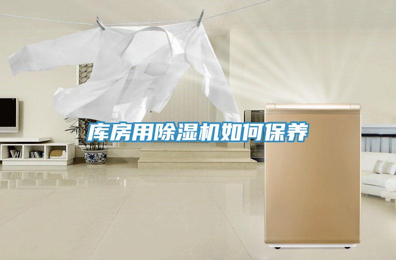 库房用MR.好色破解版如何保养
