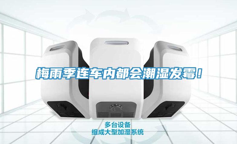 梅雨季连车内都会潮湿发霉！