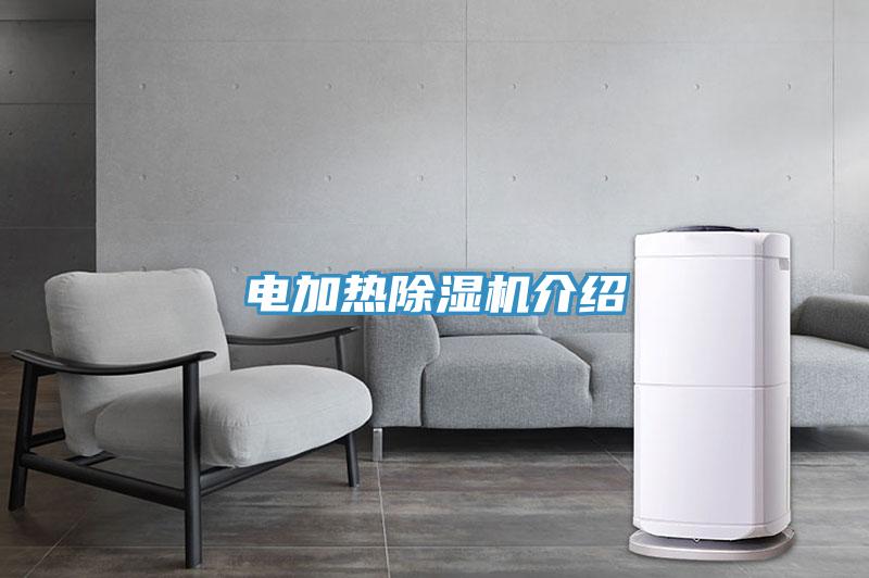 电加热MR.好色破解版介绍