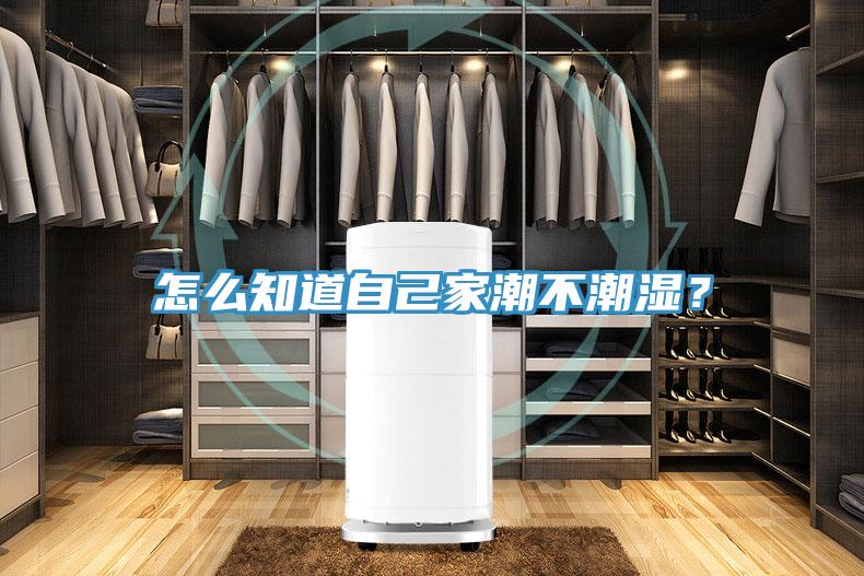 怎么知道自己家潮不潮湿？