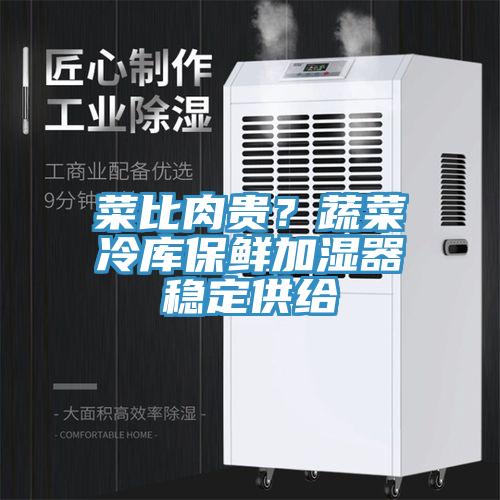 菜比肉贵？蔬菜冷库保鲜加湿器稳定供给