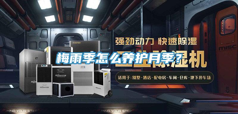 梅雨季怎么养护月季？