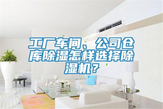工厂车间、公司仓库除湿怎样选择MR.好色破解版？
