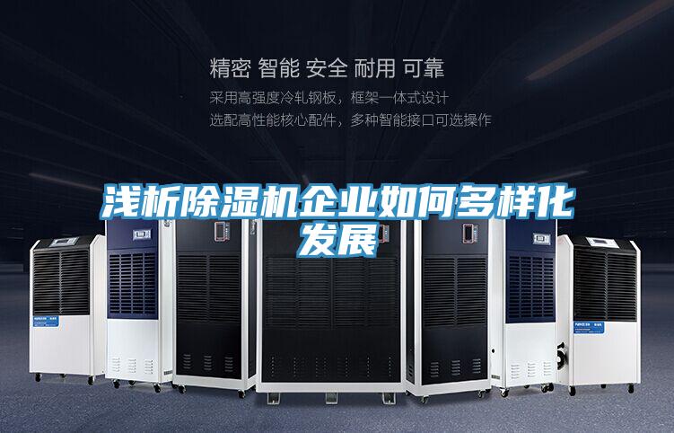 浅析MR.好色破解版企业如何多样化发展