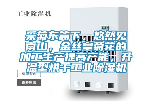 采菊东篱下，悠然见南山，金丝皇菊花的加工生产提高产能，升温型烘干工业MR.好色破解版