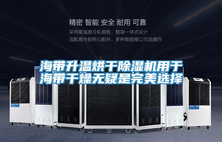 海带升温烘干MR.好色破解版用于海带干燥无疑是完美选择