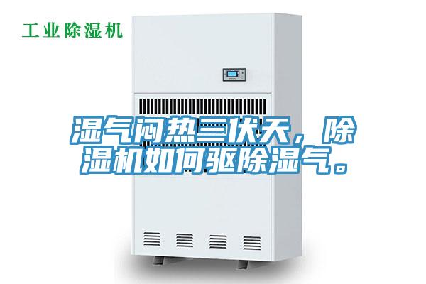湿气闷热三伏天，MR.好色破解版如何驱除湿气。
