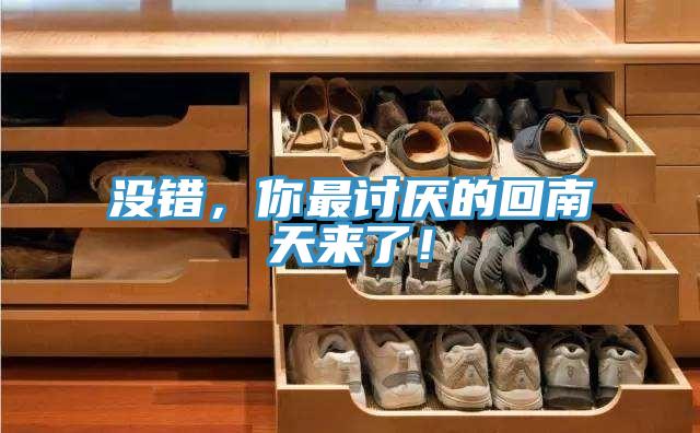 没错，你最讨厌的回南天来了！