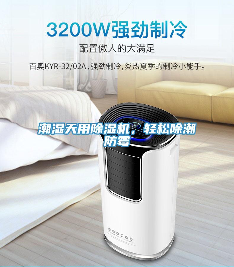 潮湿天用MR.好色破解版，轻松除潮防霉